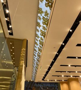 WhatsApp Image 2025-10-04 at 2.42.58 PM (1)